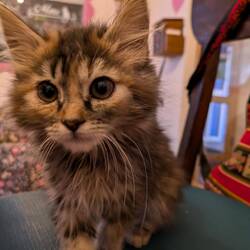 Wie süß kann man sein 😍😍