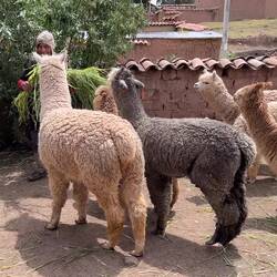 Erstmal wir eine Runde gefressen