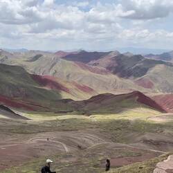 Andi erklärt die Tierwelt