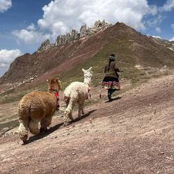 Die Karawane zieht weiter