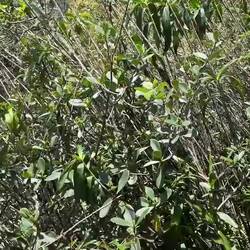 Andi's kleines Wettrennen gegen die Zeit