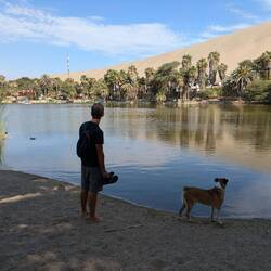 Wohin die zwei wohl schauen?