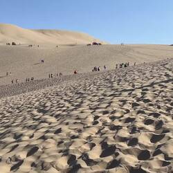 Auf dem Weg zum Startpunkt