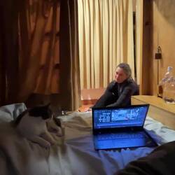 Andi hat Gesellschaft während er an den FindPenguins-Beiträgen arbeitet