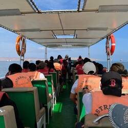 Mit einem Boot fahren wir zu den Islas Ballestas