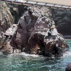 Gute Sonnenplätze sind heißbegehrt