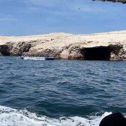 Wir erreichen die ersten vogelumschwärmten Inseln