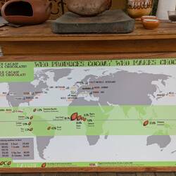 Tanja macht einen Schokoladen-Fortbildungskurs! Schokolade kann nur im grünen Band angebaut werden