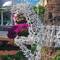 Bet you haven't seen bougainvillaea with a reindeer before:)