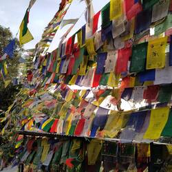 Um den Dalai Lama Tempel