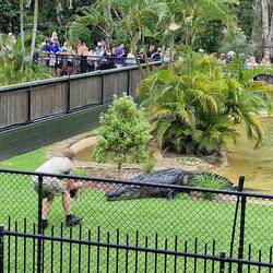 ...auch sein Sohn macht eine Shows mit Crocks