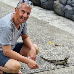 ...und die Echsen laufen überall im Park frei herum