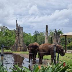 ...auch ein tolles Elephantengehege hat es
