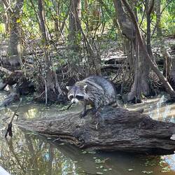 They are too damn cute 🥰