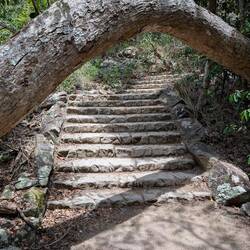 Ich habe mich für den Whitehaven Lookout entschlossen