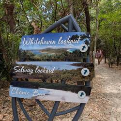 Es gab auch verschiedene Wanderungen