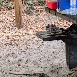 ...und es gibt neugierige Gäste