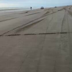 Mad Max lässt grüßen 🤘