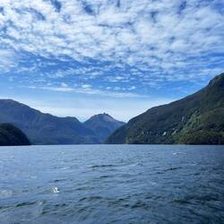 Doubtful Sound