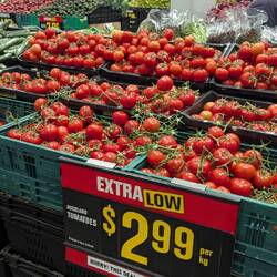 Und alles lokale in der Saison wieder echt günstig.