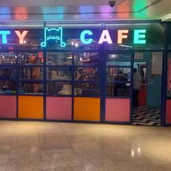 After dropping Vicky off at the station Will found this cat café, but didn't visit.