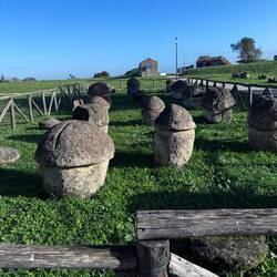 Funerary Urns Shaped Like Etruscan Houses