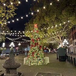 It's beginning to look a lot like Christmas....