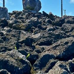Eine Statue aus Lava