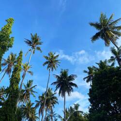 Der Blick aus der Biosphere Lodge