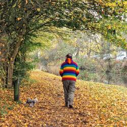 Autumnal vibes