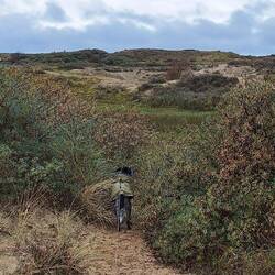 ...aber auch Frodo sucht vergeblich