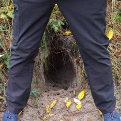 Wem gehört wohl dieser Riesenbau?🤔