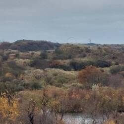 Trotz Nieselregen sieht man das Riesenrad von Scheveningen