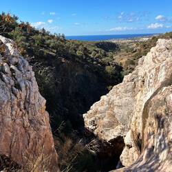 Nach den Ferkeln folgen einige scheue Ziegen und schließlich..