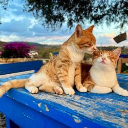 ..wirklich alles was das Herz begehrt 💛