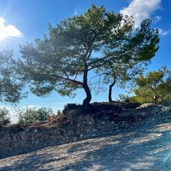 Zwar liegt der Ort am Meer, doch für mich..