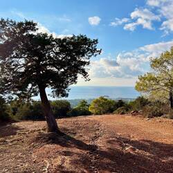 Neben dem Blick aufs Meer, richte..