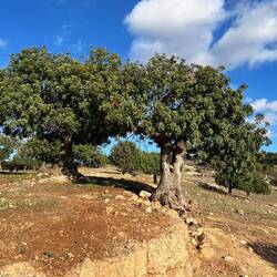 ..geht es nochmal ordentlich in die Höhe.