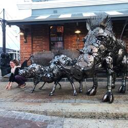 Zum Verwechseln ähnlich 🤣