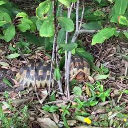 Eine unendliche Geschichte