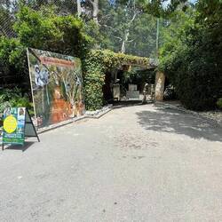 Eingang Monkeyland