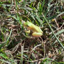 Nur gerade 2 cm lang