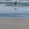 Baywatch
