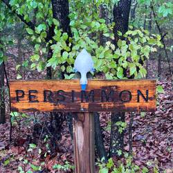 Nicely done... duck is a nice touch too.