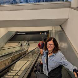 Up the escalators