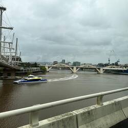 River Cat and some of the many bridges.