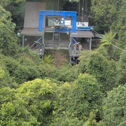 Broccoli covers the rain forest below