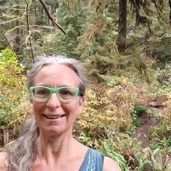 Finally in the forest and warming up by walking; Giant Spruce Trail