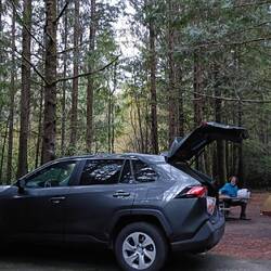 Camping in the coastal forest; Siuslaw National Forest