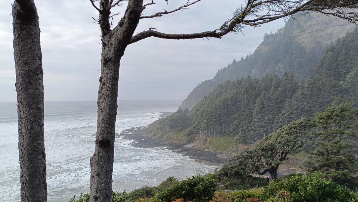 Cape Perpetua, Oregon coast